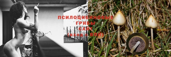 стафф Дубна
