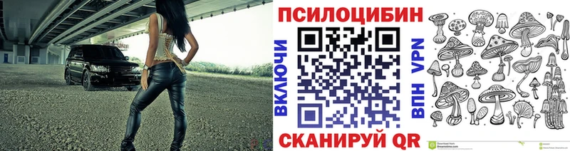 Купить где  Карабулак  Псилоцибиновые грибы прущие грибы 